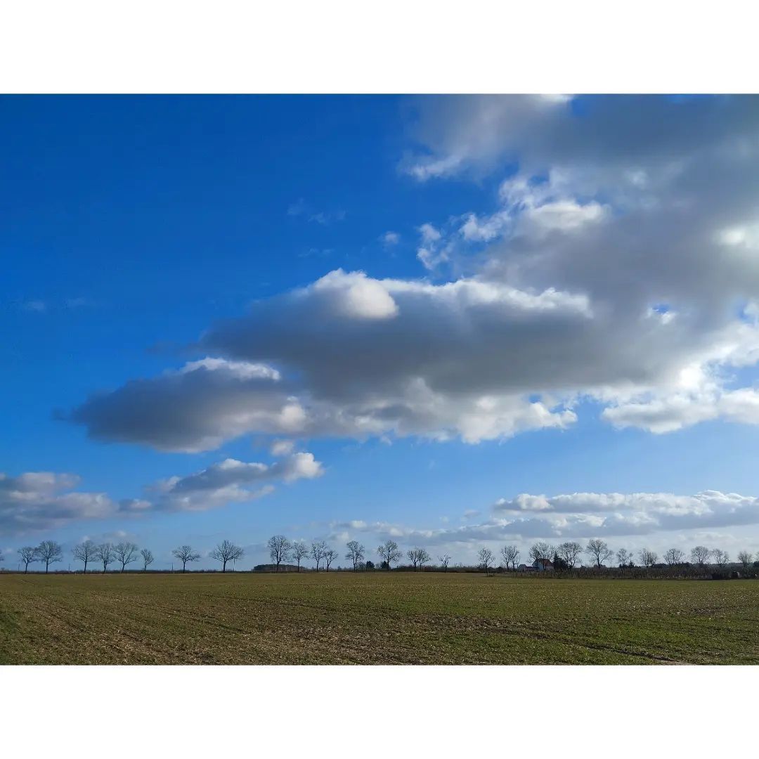 #landscapephotography #landscape #instaworld_love #love_places #perfect_moment #followtoseetheworld #nature #nature_perfection #photooftheday #beautiful #landscapelovers #germany #germany #land_brandenburg #werder_havel #glindow_ortsteil_elisabethhöhe #clouds #sky_lover
